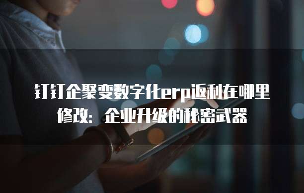 钉钉企聚变数字化erp返利在哪里修改:企业升级的秘密武器