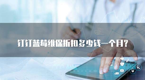 钉钉蓝莓维保折扣多少钱一个月?