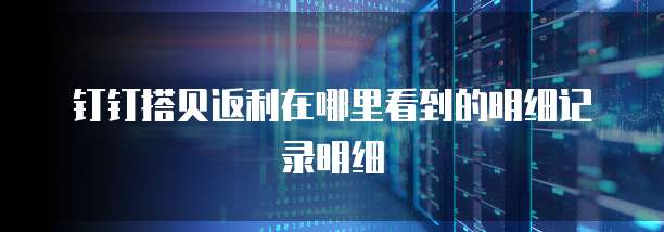 钉钉搭贝返利在哪里看到的明细记录明细