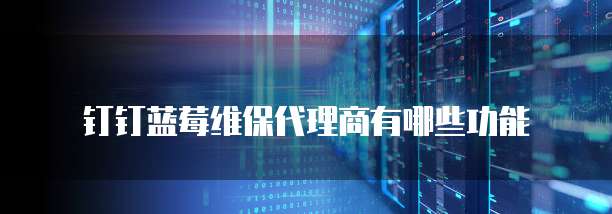 钉钉蓝莓维保代理商有哪些功能