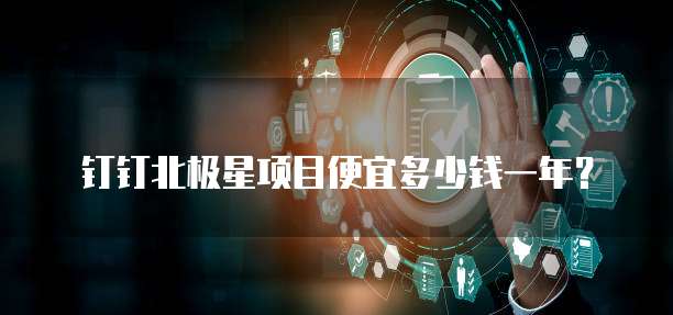 钉钉北极星项目便宜多少钱一年?