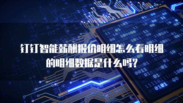 钉钉智能薪酬报价明细怎么看明细的明细数据是什么吗?