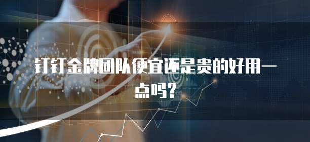 钉钉金牌团队便宜还是贵的好用一点吗?