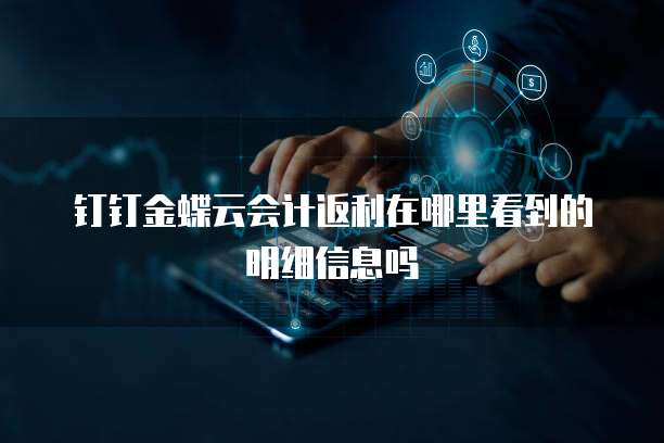 钉钉金蝶云会计返利在哪里看到的明细信息吗