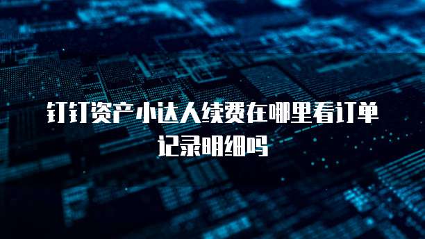 钉钉资产小达人续费在哪里看订单记录明细吗