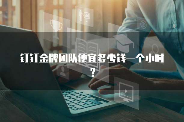 钉钉金牌团队便宜多少钱一个小时?