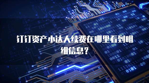 钉钉资产小达人续费在哪里看到明细信息？