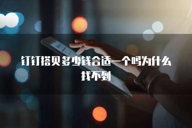 钉钉搭贝多少钱合适一个吗为什么找不到