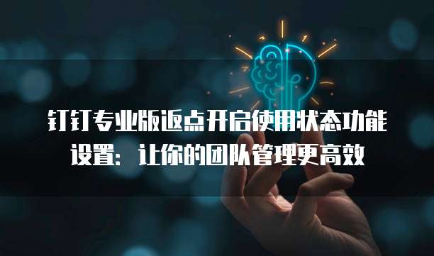 钉钉专业版返点开启使用状态功能设置:让你的团队管理更高效