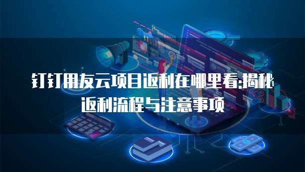 钉钉用友云项目返利在哪里看:揭秘返利流程与注意事项
