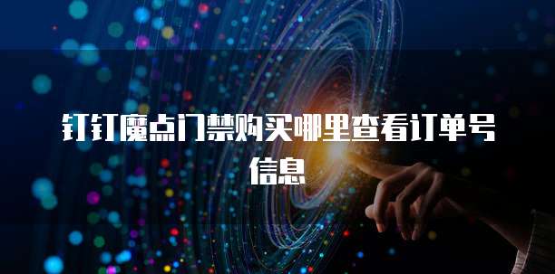 钉钉魔点门禁购买哪里查看订单号信息