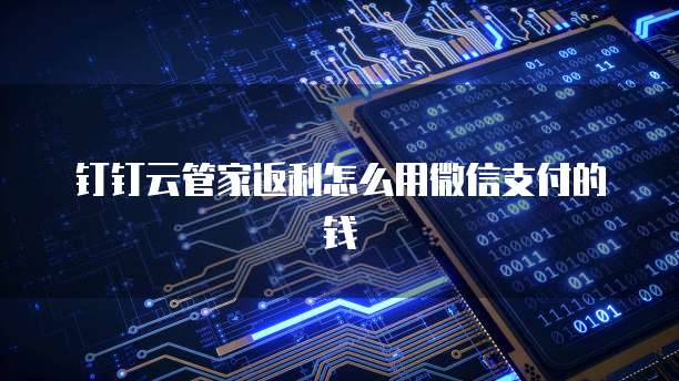 钉钉云管家返利怎么用微信支付的钱