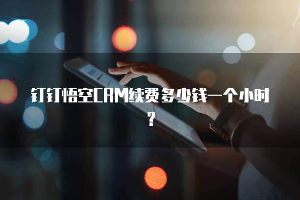 钉钉悟空CRM续费多少钱一个小时?