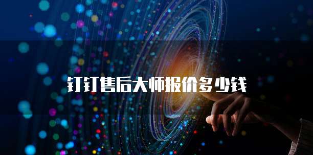 钉钉售后大师报价多少钱