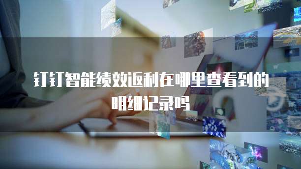钉钉智能绩效返利在哪里查看到的明细记录吗