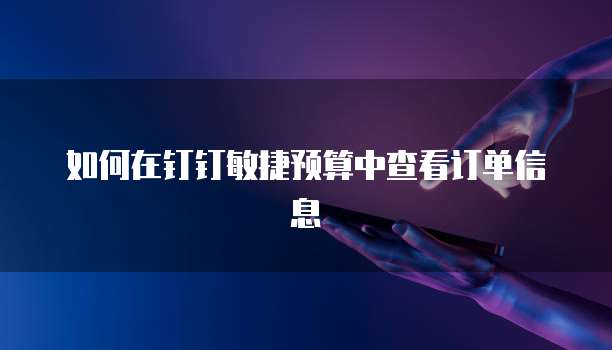 如何在钉钉敏捷预算中查看订单信息