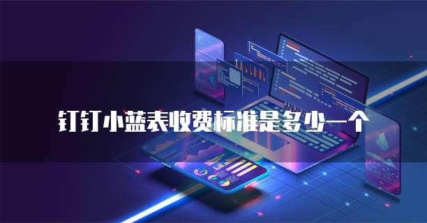 钉钉小蓝表收费标准是多少一个
