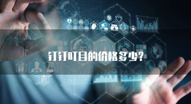 钉钉盯目的价格多少?