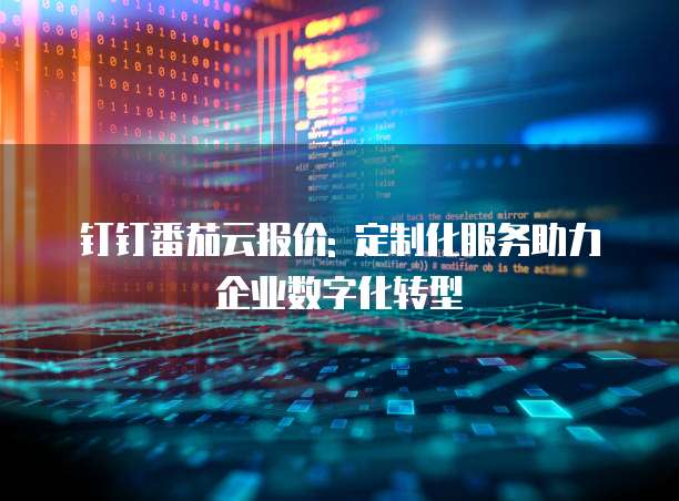 钉钉番茄云报价: 定制化服务助力企业数字化转型