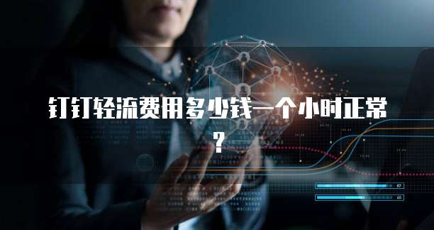 钉钉轻流费用多少钱一个小时正常?