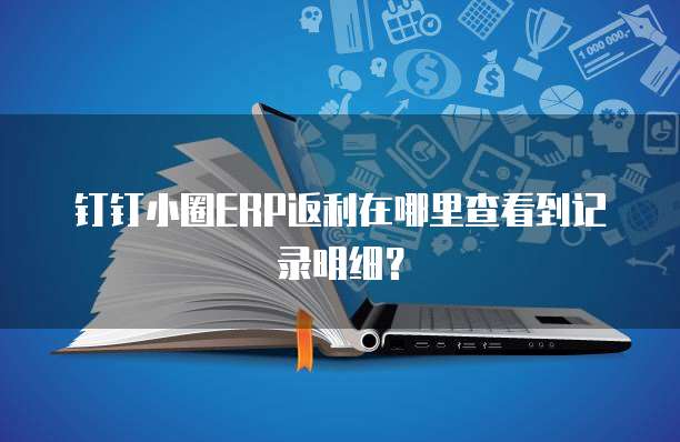 钉钉小圈ERP返利在哪里查看到记录明细?