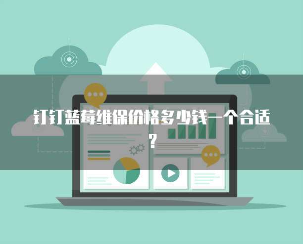 钉钉蓝莓维保价格多少钱一个合适?