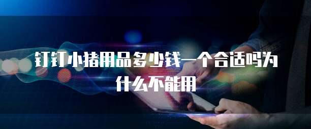 钉钉小猪用品多少钱一个合适吗为什么不能用