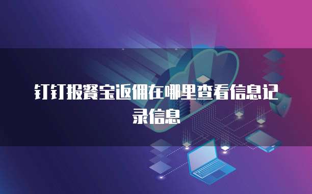 钉钉报餐宝返佣在哪里查看信息记录信息