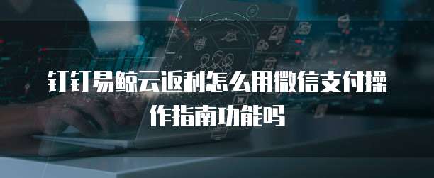 钉钉易鲸云返利怎么用微信支付操作指南功能吗
