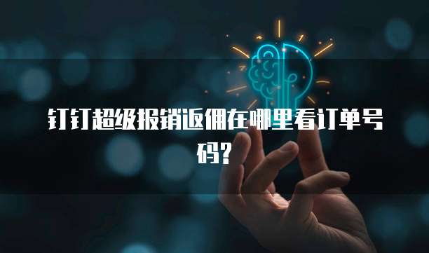 钉钉超级报销返佣在哪里看订单号码?
