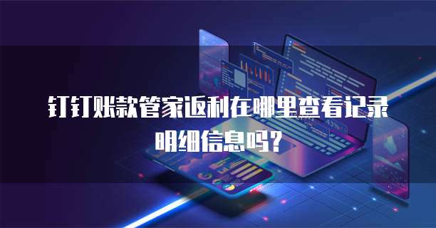钉钉账款管家返利在哪里查看记录明细信息吗？