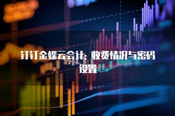 钉钉金蝶云会计: 收费情况与密码设置
