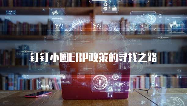 钉钉小圈ERP政策的寻找之路