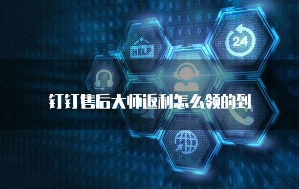 钉钉售后大师返利怎么领的到