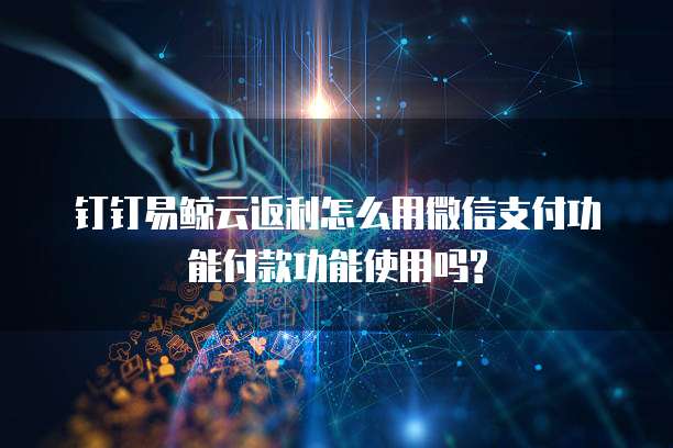 钉钉易鲸云返利怎么用微信支付功能付款功能使用吗?