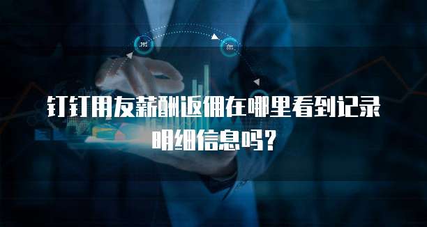 钉钉用友薪酬返佣在哪里看到记录明细信息吗?
