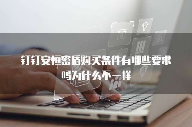 钉钉安恒密盾购买条件有哪些要求吗为什么不一样