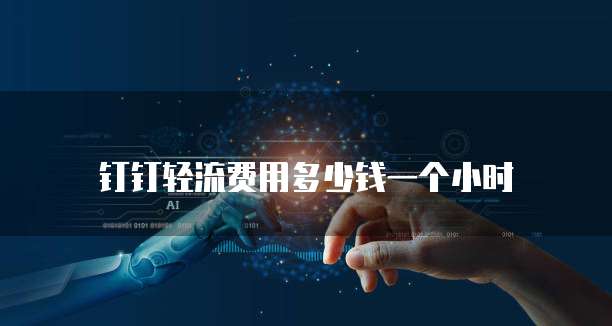 钉钉轻流费用多少钱一个小时
