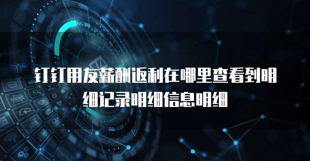 钉钉用友薪酬返利在哪里查看到明细记录明细信息明细
