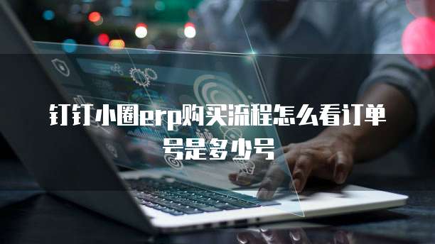钉钉小圈erp购买流程怎么看订单号是多少号