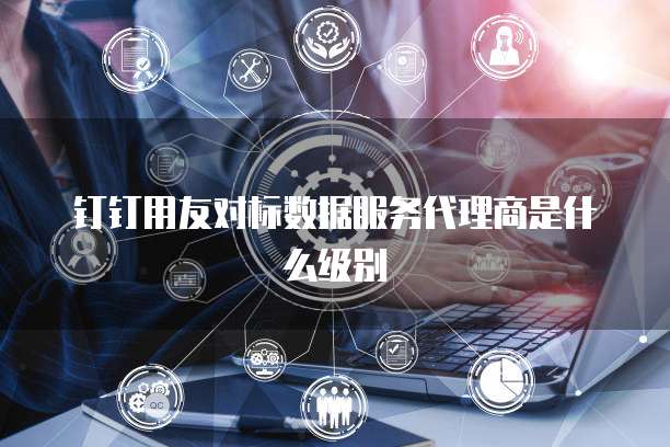 钉钉用友对标数据服务代理商是什么级别