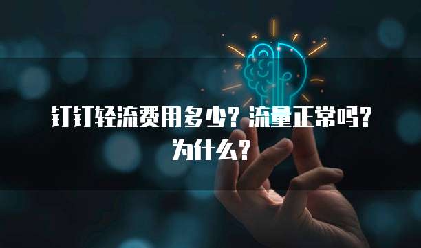 钉钉轻流费用多少?流量正常吗?为什么?