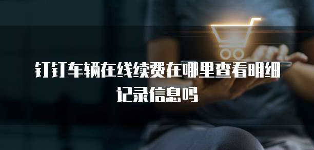 钉钉车辆在线续费在哪里查看明细记录信息吗