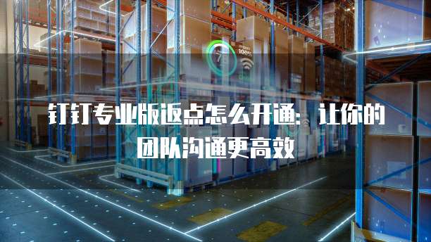 钉钉专业版返点怎么开通:让你的团队沟通更高效