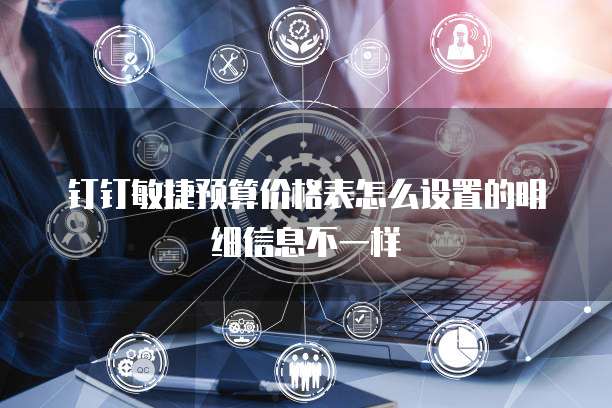 钉钉敏捷预算价格表怎么设置的明细信息不一样