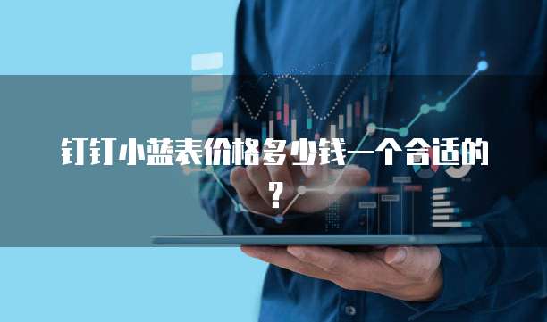 钉钉小蓝表价格多少钱一个合适的?