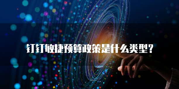 钉钉敏捷预算政策是什么类型?