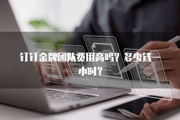 钉钉金牌团队费用高吗?多少钱一小时?