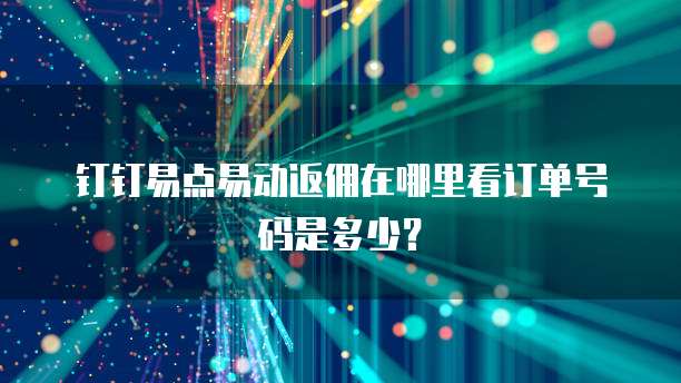 钉钉易点易动返佣在哪里看订单号码是多少?