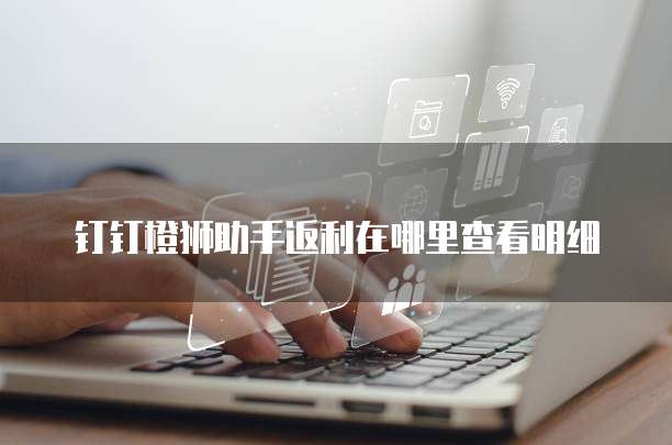 钉钉橙狮助手返利在哪里查看明细